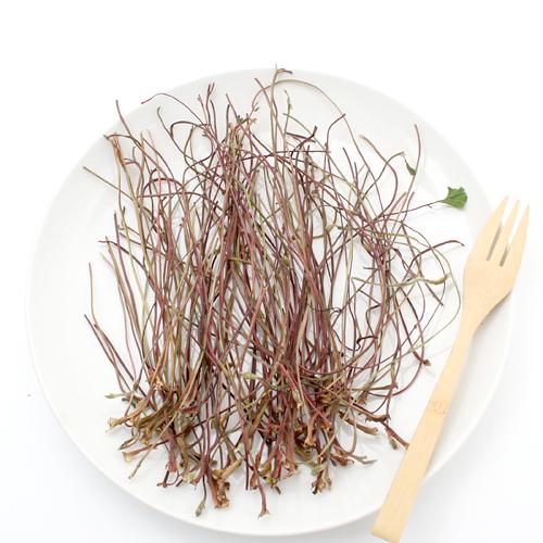 Leaf Corp 国産 かじってたのしい いちごの茎 20g 小動物のおやつ