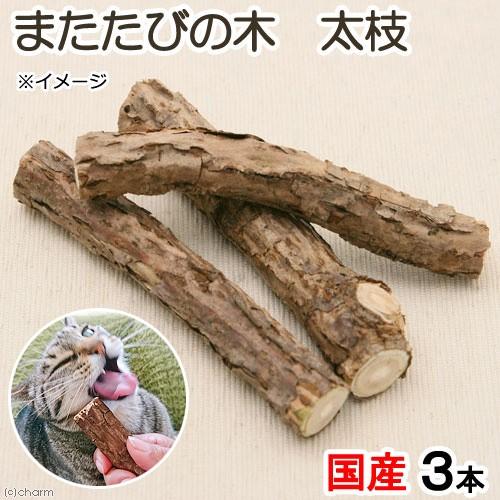 日本正規品 国産 またたびの木 太枝 ３本入り 猫用おもちゃ 無添加 無着色 Riosmauricio Com