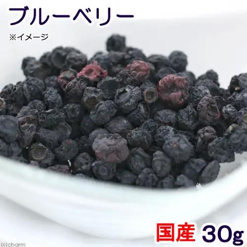 Leaf Corp 国産 ブルーベリー 30g 小動物用のおやつ ドライフルーツ