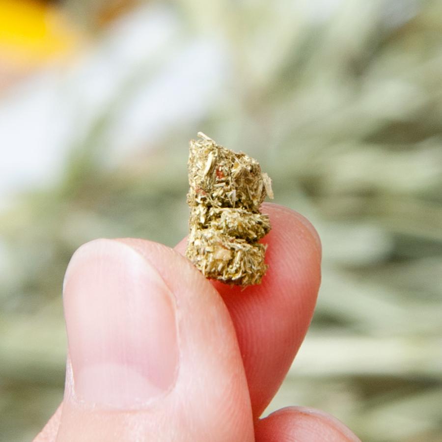 新作グッ 小麦粉を使わないうさぎのおやつできました ２５０ｇ 小動物用のおやつ うさぎ 無添加 無着色 グルテンフリー Originaljustturkey Com