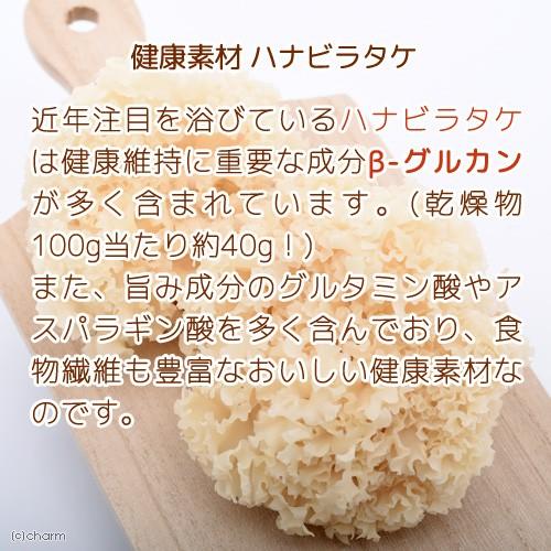 Leaf Corp 国産 ハナビラタケのパウダー ハナビラタケ100％ 10g