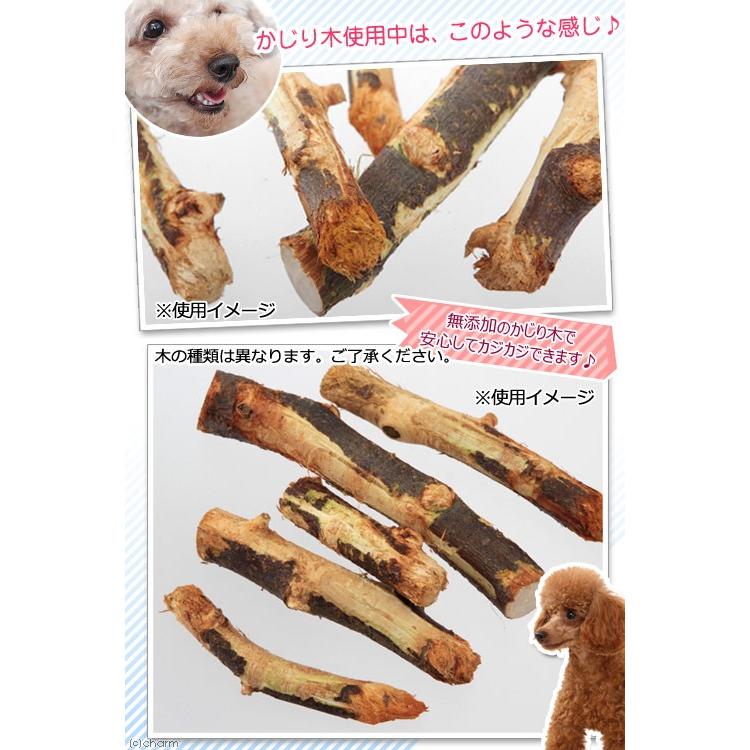 Leaf Corp 国産 びわの木 犬用 2本入 おもちゃ 無添加 無着色 小型犬