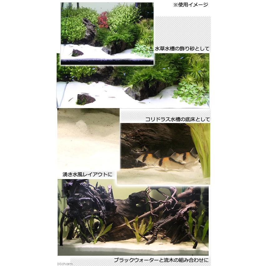 アマゾン川源流の白砂　３ｋｇ（約１．８Ｌ）　微粒　底砂　底床　コリドラス　エイ　お一人様８点限り｜chanet｜04