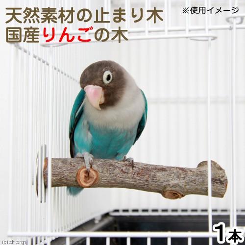Leaf Corp 国産 天然素材のとまり木 りんごの木 1本 かじっても安心