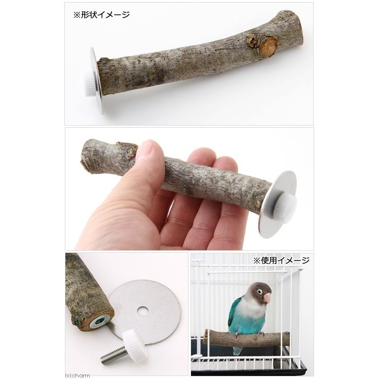 Leaf Corp 国産 天然素材のとまり木 りんごの木 1本 かじっても安心