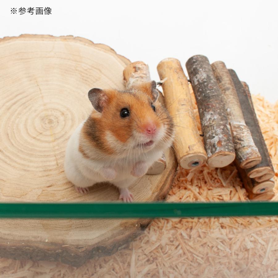 チャーム(ペット) ハムスターゲージ ハムスター飼育水槽 チャーム(ペット) ハムスターゲージ ハムスター飼育水槽