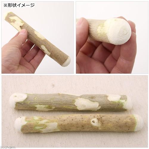 国産 くわの木 犬用 ２本入 おもちゃ 無添加 小型犬 全てのアイテム 無着色 中型犬