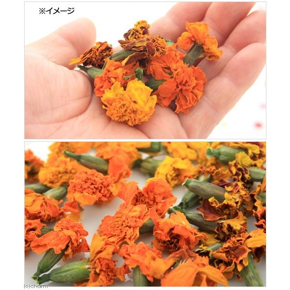 Leaf Corp 国産 マリーゴールド 10g 小動物のおやつ 無添加 無着色