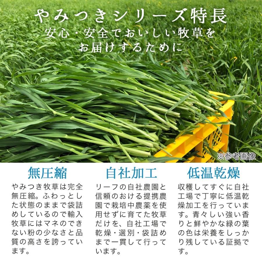 Leaf Corp 国産 やみつき大麦若葉 20g お試しサイズ 牧草 Leaf Corp 国産 やみつき大麦若葉 20g お試しサイズ 牧草