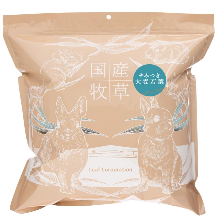 Leaf Corp 令和8年産 国産牧草 やみつき大麦若葉 100g 牧草