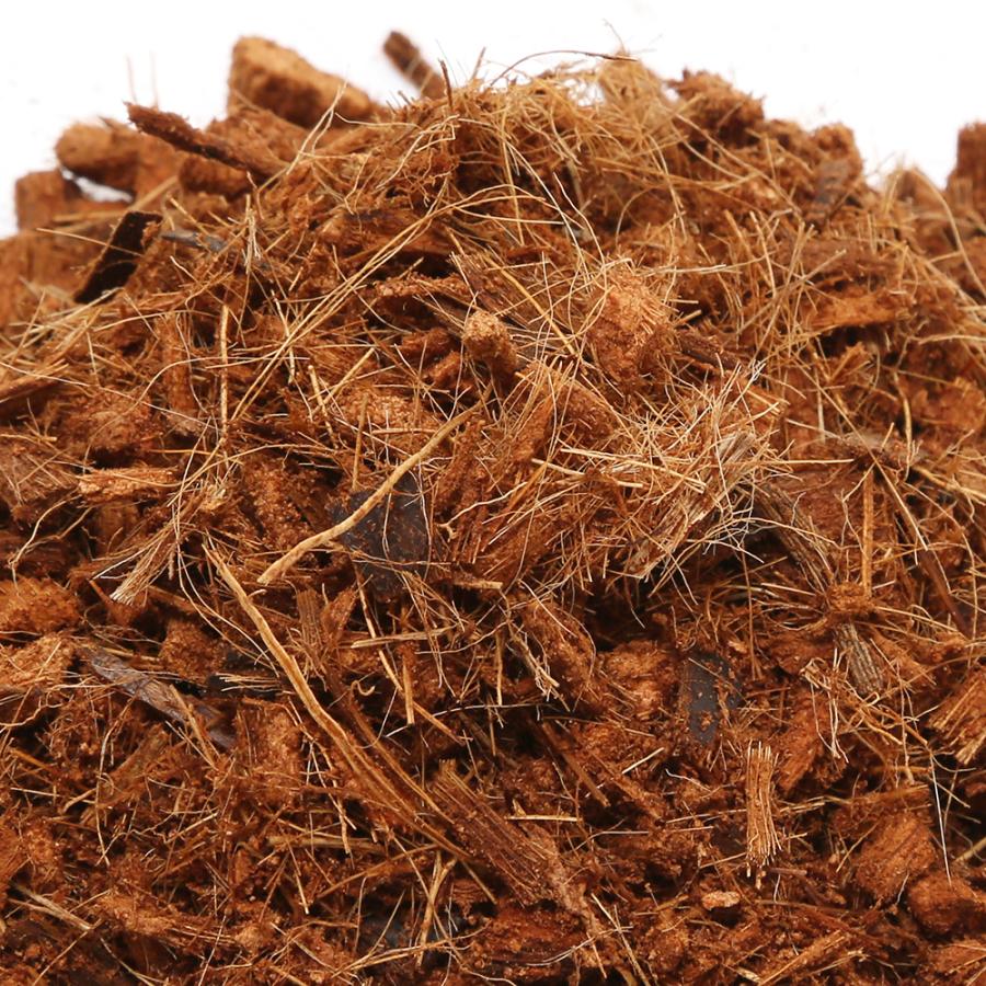 ハスクチップ　５Ｌ　爬虫類用　底床　マット　あく抜き済み　お一人様１１点限り | Leaf Corp | 01