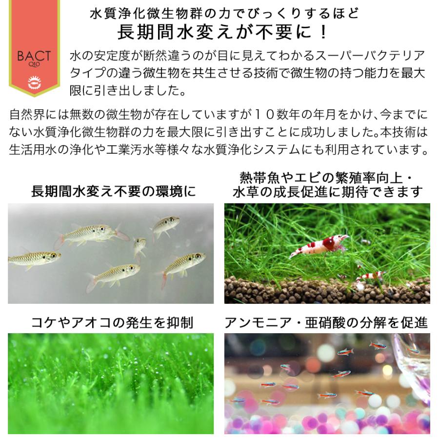卓出 定着型バクテリア ばくとｑ１０ 淡水 海水用 ５００ｍｌ バクテリア 熱帯魚 海水魚 Neotextreview Com