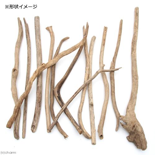 Leaf Corp 形状お任せ 棒状流木 ショート 5本セット DIY素材 