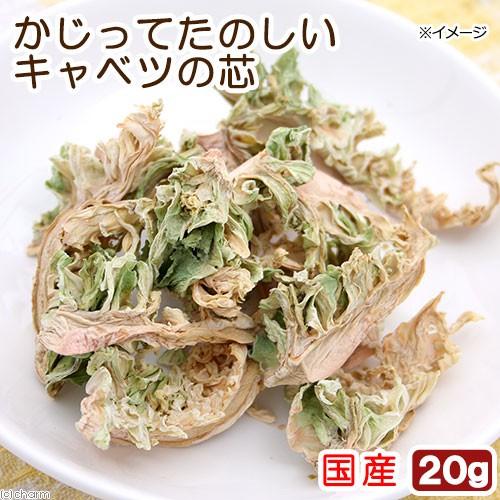 国産 かじってたのしい キャベツの芯 ２０ｇ 小動物用のおやつ 無添加 無着色