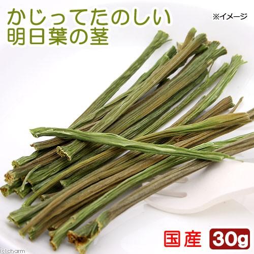国産　かじってたのしい　明日葉の茎　３０ｇ　小動物用のおやつ　無添加　無着色　かじり木　うさぎ | Leaf Corp