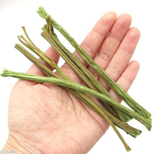 国産　かじってたのしい　明日葉の茎　３０ｇ　小動物用のおやつ　無添加　無着色　かじり木　うさぎ | Leaf Corp | 02