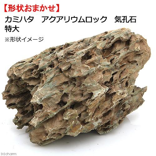 気孔石　20kg 特大2つ カミハタ アクアリウムロック 気孔石 特大 : チャーム charm ヤフー店
