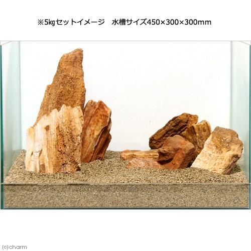 チャーム（charm） 形状お任せ 木紋岩 サイズミックス 5kg 45cm