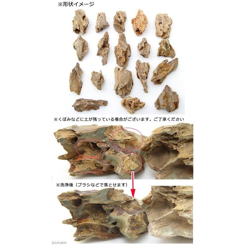 形状お任せ　陽火石　Ｓサイズ（約４〜１０ｃｍ）　５個　アクアリウム　レイアウト素材｜chanet｜02