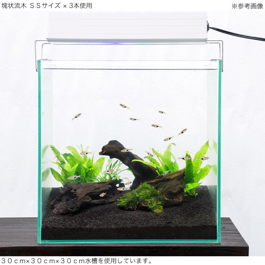 チャーム（charm） 煮込み済み 塊状流木 SSサイズ 約10〜15cm
