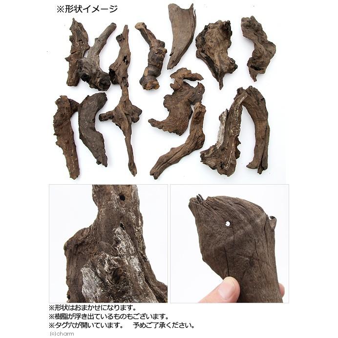 チャーム（charm） 煮込み済み 塊状流木 Mサイズ 約20〜25cm 3