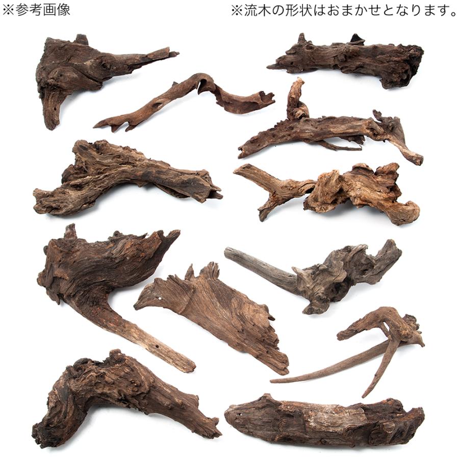 チャーム（charm） 煮込み済み 塊状流木 Lサイズ 約25〜30cm 3