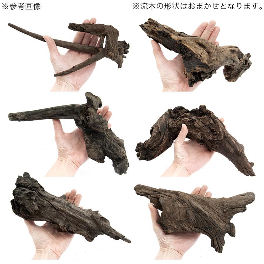 チャーム（charm） 煮込み済み 塊状流木 Lサイズ 約25〜30cm 3