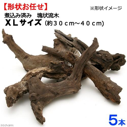形状お任せ 煮込み済み 塊状流木 XLサイズ(約30〜40cm 形状お任せ 煮込み済み 塊状流木 XLサイズ(約30〜40cm