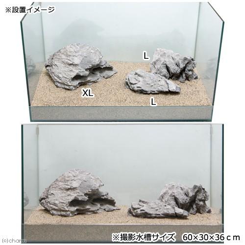 チャーム（charm） 形状お任せ 英石 Lサイズ（約15〜20cm） 1