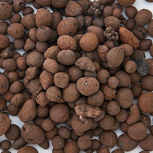 61 以上節約 ニッソー 金魚メダカの産卵 成長赤玉サンド ８００ｍｌ Calabajiorestaurante Com