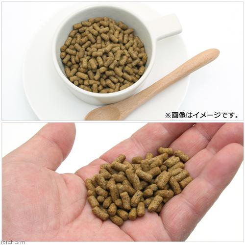 賞味期限：２０２４年０１月２０日　国産ハリネズミの食事１００ｇ＋Ｒ．Ｄ．Ｂハーリーの主食５００ｇセット　お一人様１点限り　訳あり｜chanet｜05