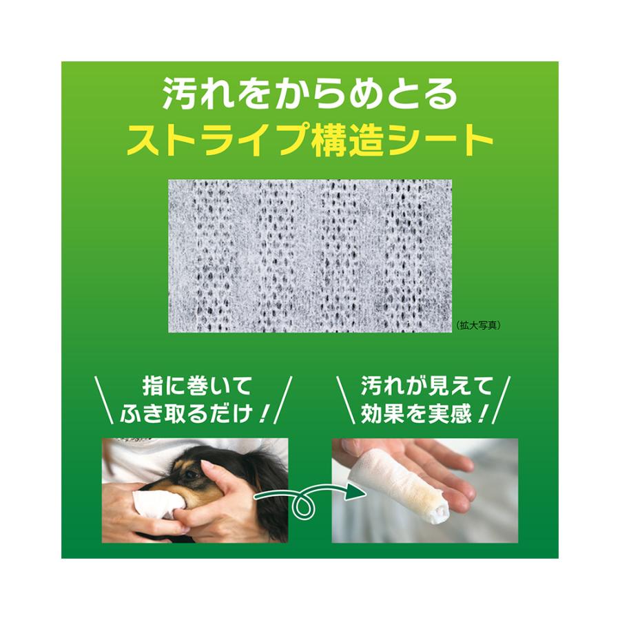 ライオン　ＰＥＴＫＩＳＳ　歯みがきシート　犬・猫用　３０枚入り　２種×１個　歯磨き | LION（ペット） | 01