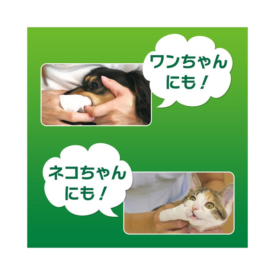 ライオン　ＰＥＴＫＩＳＳ　歯みがきシート　犬・猫用　３０枚入り　２種×１個　歯磨き | LION（ペット） | 02