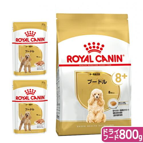  CANIN プードル用 ドライフード ロイヤルカナン（ROYAL CANIN） プードル 中・高齢犬用 ドライフード