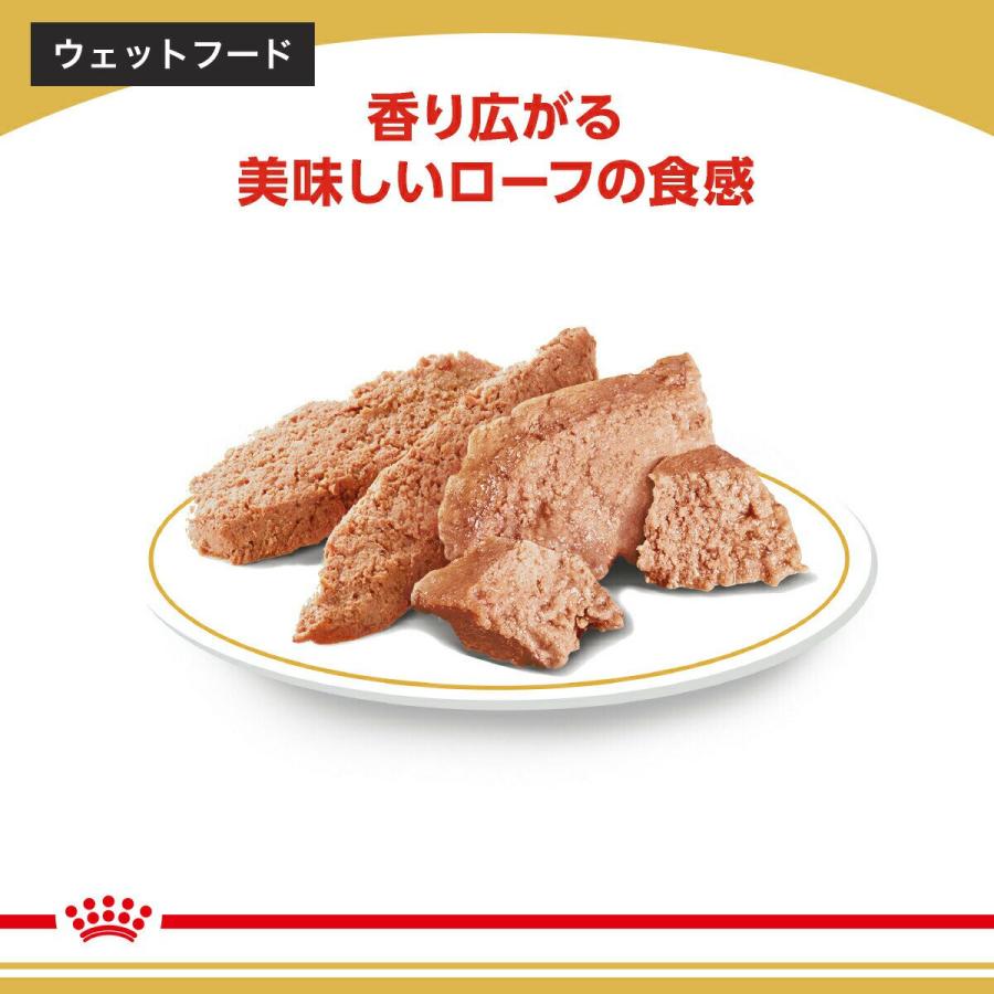 ロイヤルカナン（ROYAL CANIN） プードル 中・高齢犬用 ドライフード