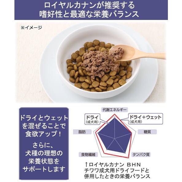 ロイヤルカナン（ROYAL CANIN） チワワ 中・高齢犬用 ドライフード