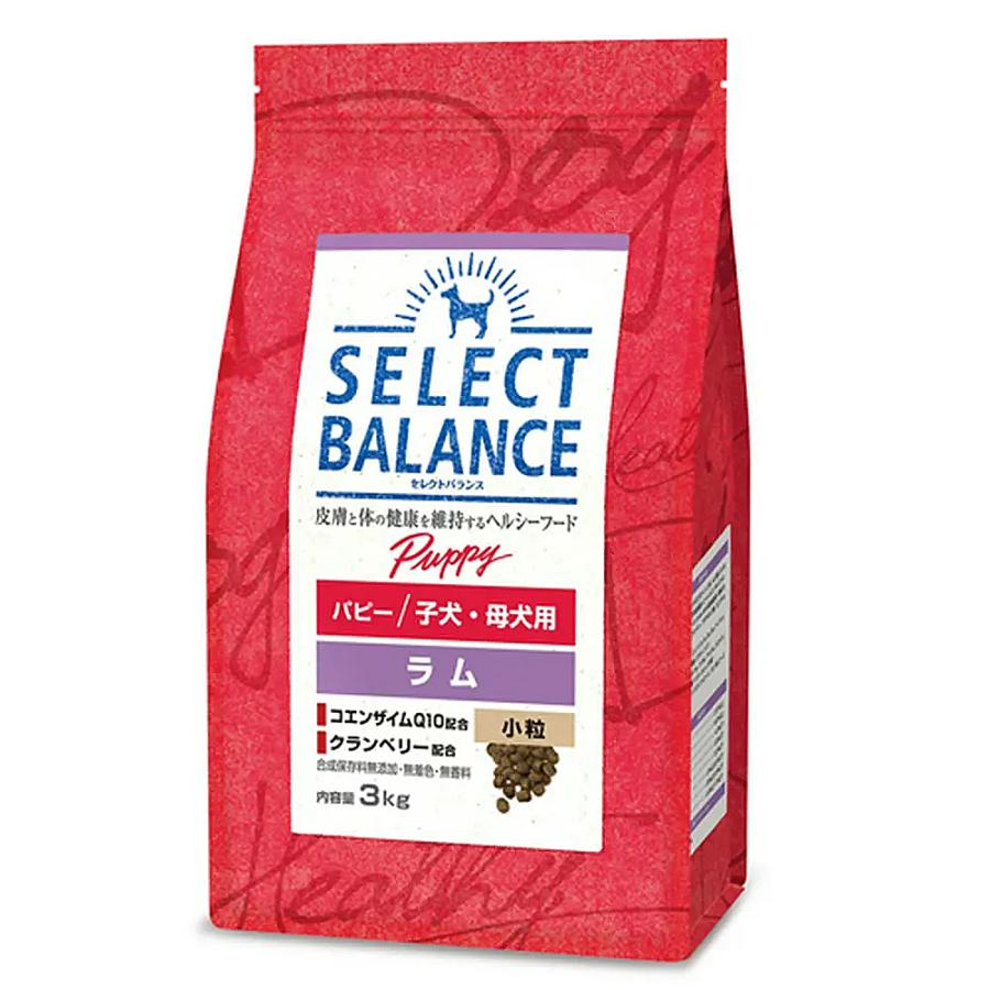ち*こ様 m*様 小粒 SELECT BALANCE ドッグフード 15kg 【公式通販】