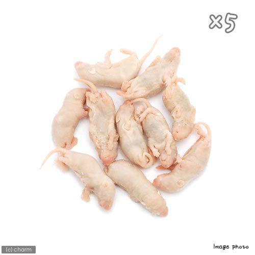 冷凍☆富城 ピンクマウスM（10匹） ×5（約3cm） 冷凍マウス