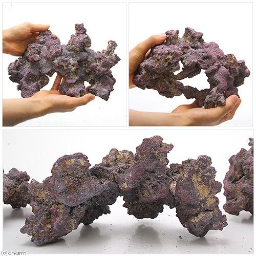 □カミハタ　カリブシー　ライフロック　シェイプス　９．０ｋｇ　人工ライブロック　沖縄別途送料 