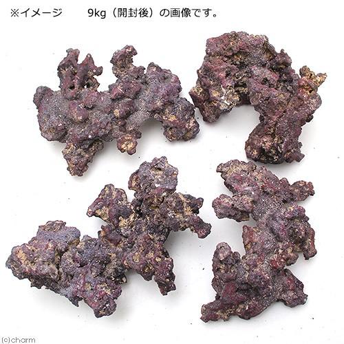 □カミハタ　カリブシー　ライフロック　シェイプス　９．０ｋｇ　人工ライブロック　沖縄別途送料 