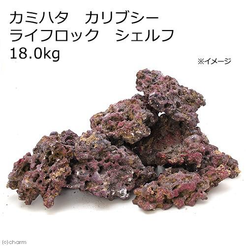 カミハタ カリブシー ライフロック シェルフ 18．0kg バクテリア 