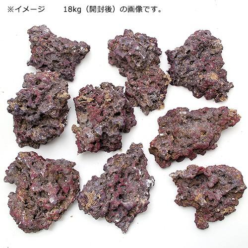 カミハタ カリブシー ライフロック シェルフ 18KG カミハタ カリブシー ライフロック シェルフ 18．0kg バクテリア