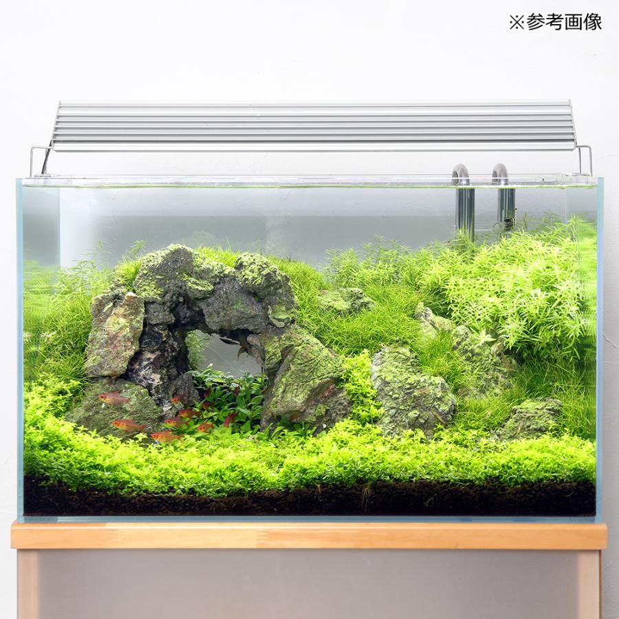 ガラス水槽 アクロ６０ スーパークリア ６０ ３０ ３６ｃｍ 約６０ｌ 熱帯魚 水草 アクアリウム ６０ｃｍ水槽 お一人様１点限り 沖縄別途送料 チャーム Charm ヤフー店 通販 Yahoo ショッピング