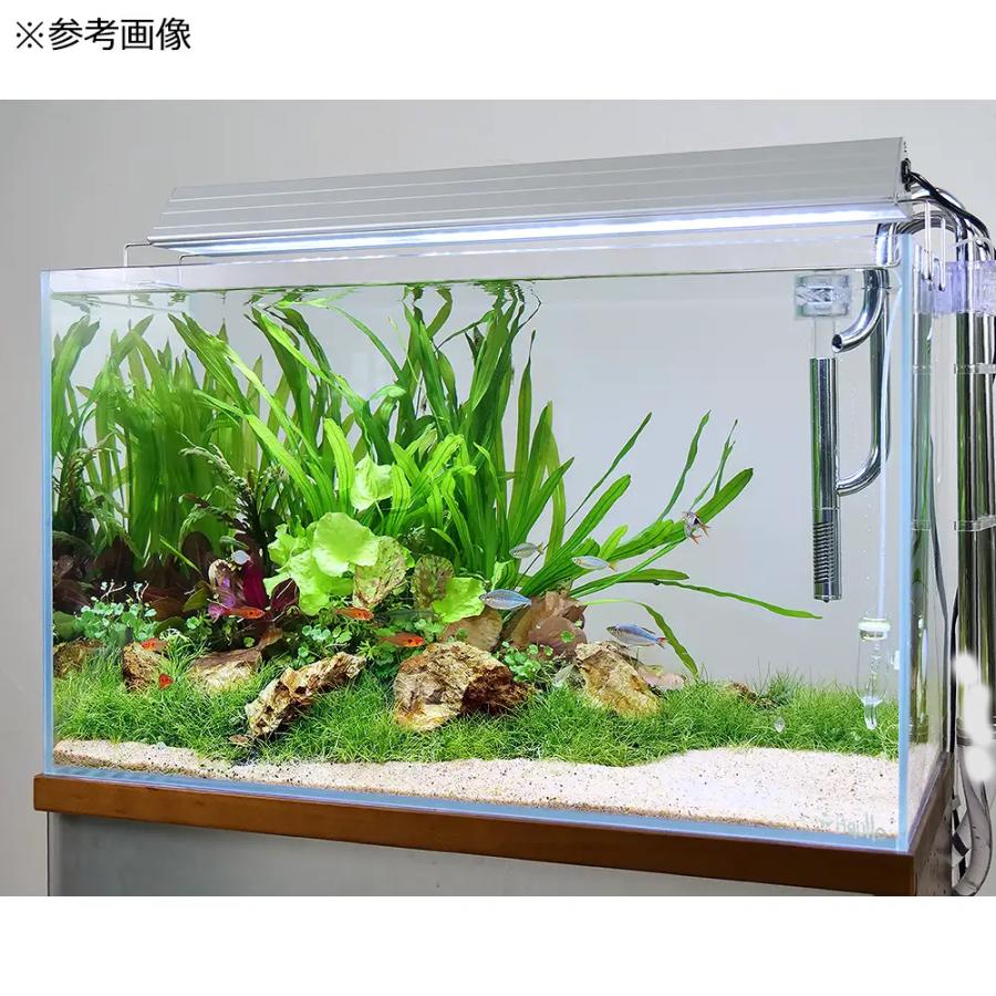 アクロ ガラス水槽 アクロ60 スーパークリア 60×30 アクロ ガラス水槽 アクロ60 スーパークリア 60×30