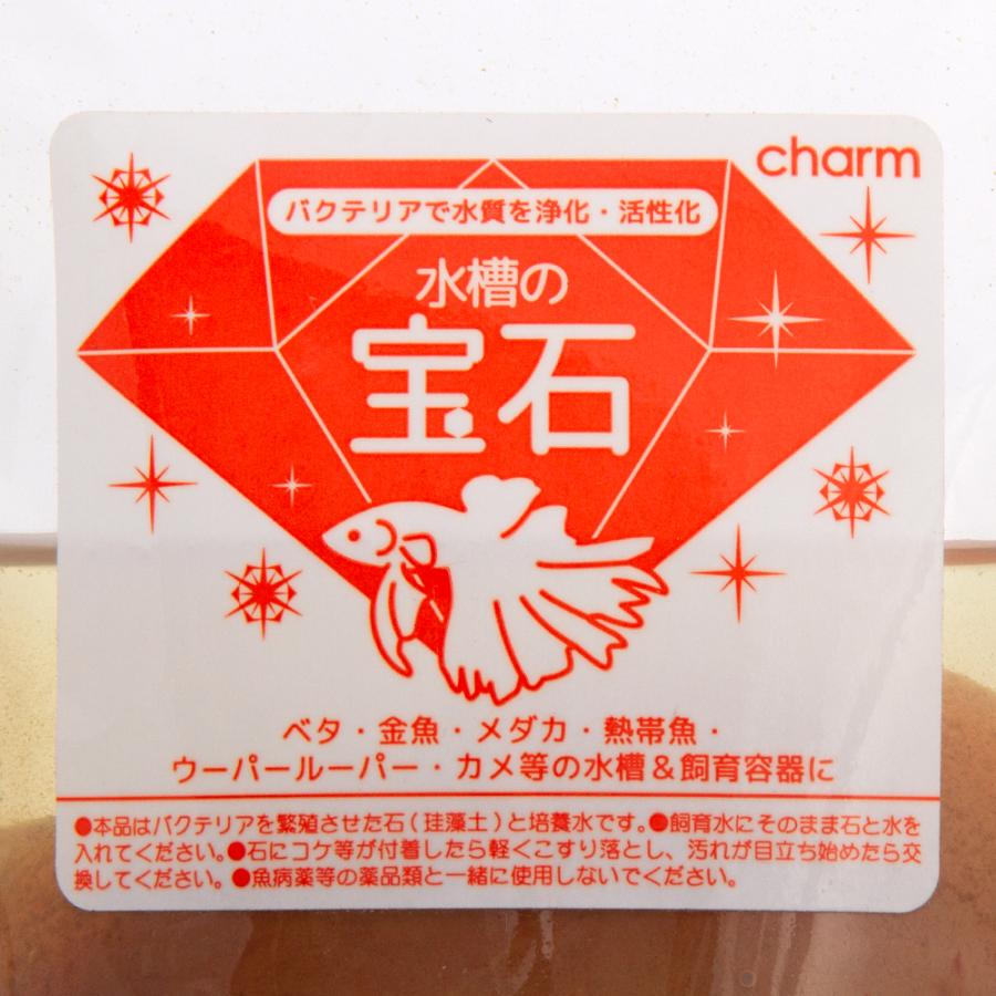 水槽の宝石 ｌｌサイズ １個入り バクテリア 積層石 ベタ メダカ 金魚 チャーム Charm ヤフー店 通販 Yahoo ショッピング