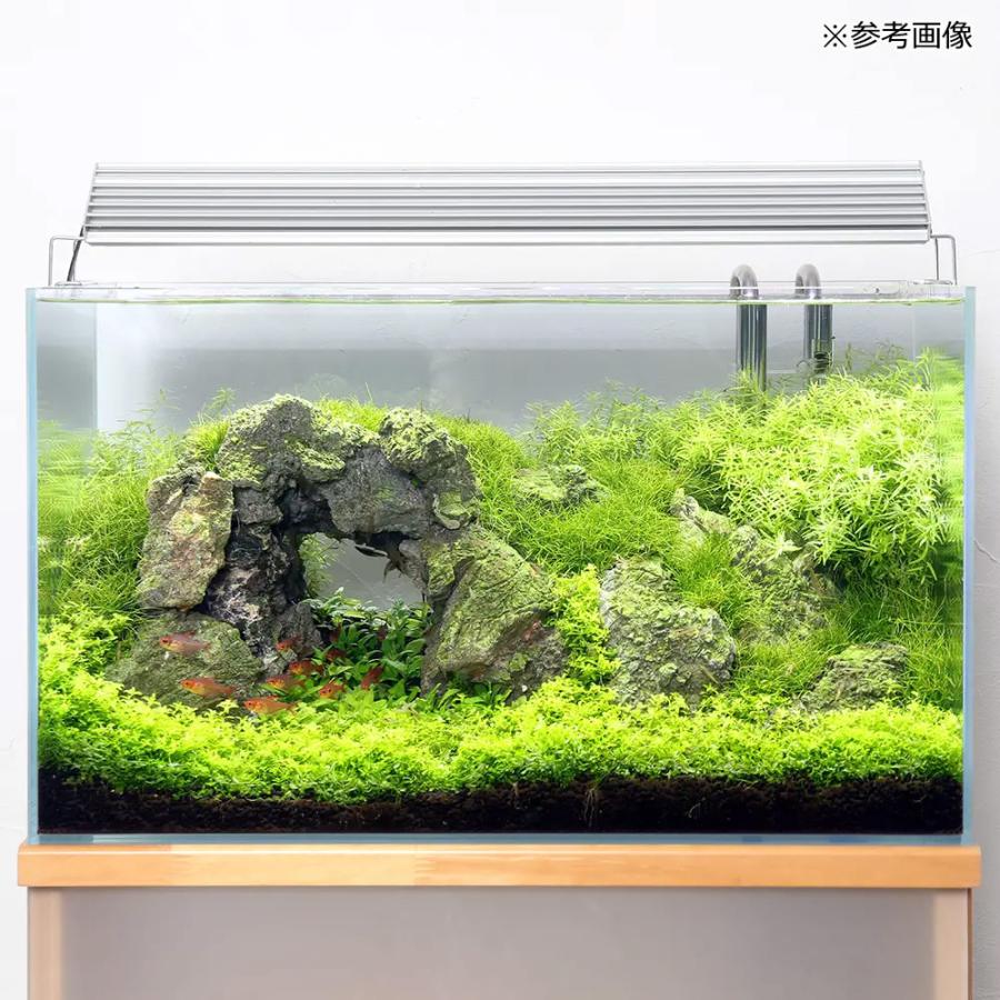 チャーム(ペット) ガラス水槽 スーパークリア アクロ60S チャーム(ペット) ガラス水槽 スーパークリア アクロ60S
