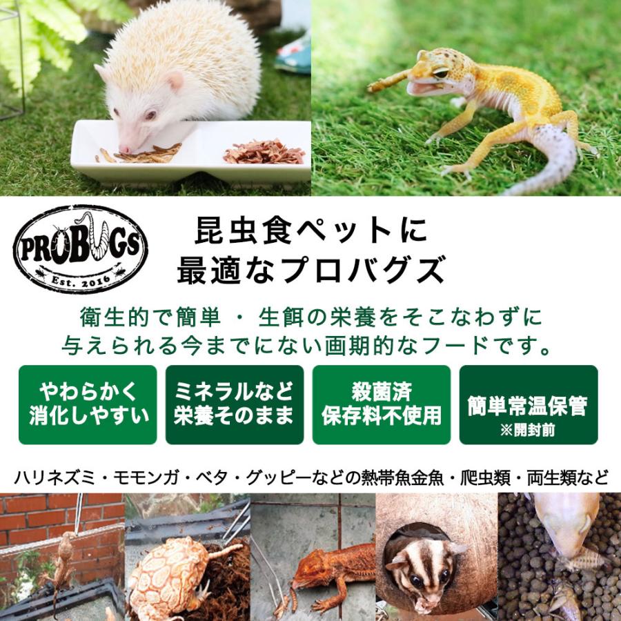 チャーム（charm） 三晃商会 レプタイルボックス＋プロバグズ爬虫類3 