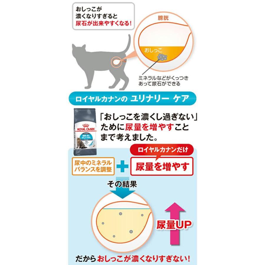 ロイヤルカナン（ROYAL CANIN） 猫 健康な尿の維持セット ドライフード