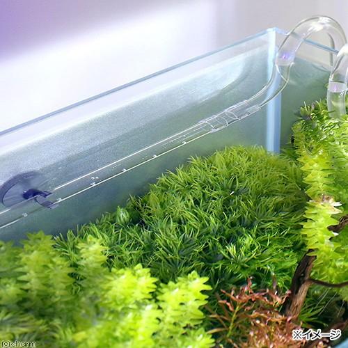 Leaf Corp 様々なフィルターに使用可能！ プラスチックシャワーパイプ