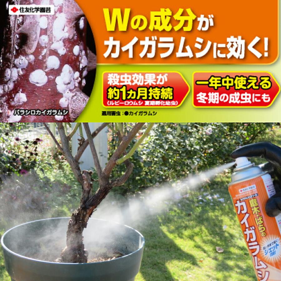 住友化学園芸 カイガラムシ エアゾール 480ml 殺虫剤 住友化学園芸 カイガラムシ エアゾール 480ml 殺虫剤